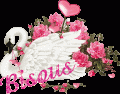 Bisous cygne et roses