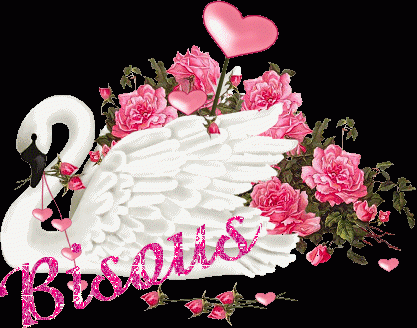 Bisous cygne et roses