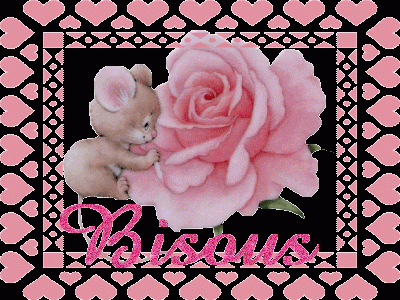 Bisous rose