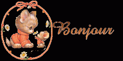 Bonjour chat souris