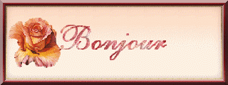 Bonjour à la rose 2