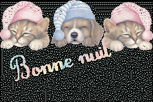 Bonne nuit