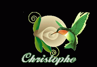  Christophe 1ère création sans tuto