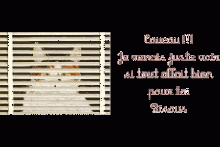Coucou