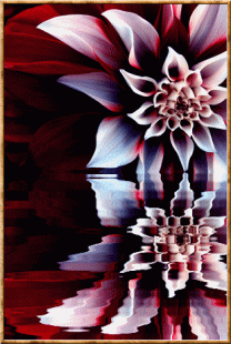 Reflet fleur pourpre