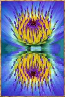 Reflet Fleurs violettes