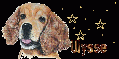 Ulysse